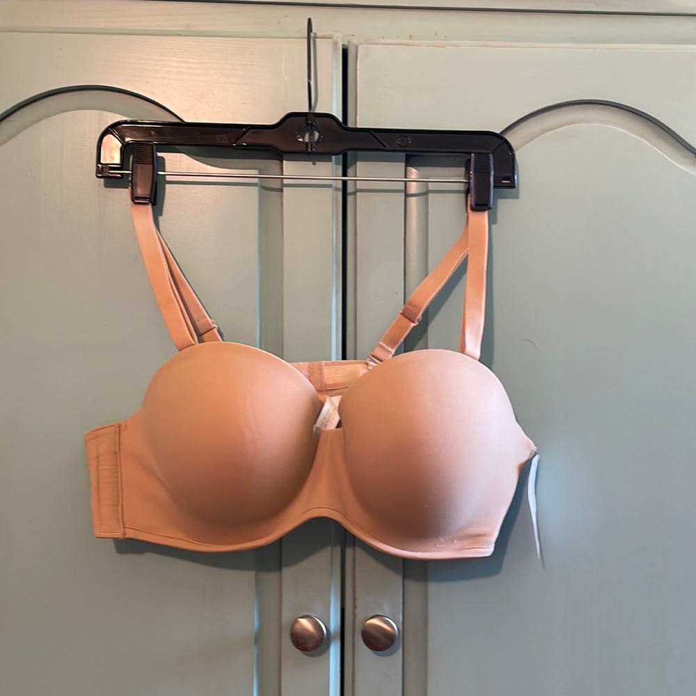 Lane Bryant